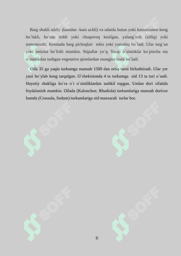 Semizakdoshlar oilasi.docx 6