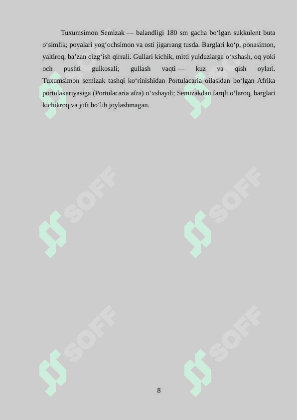 Semizakdoshlar oilasi.docx 8