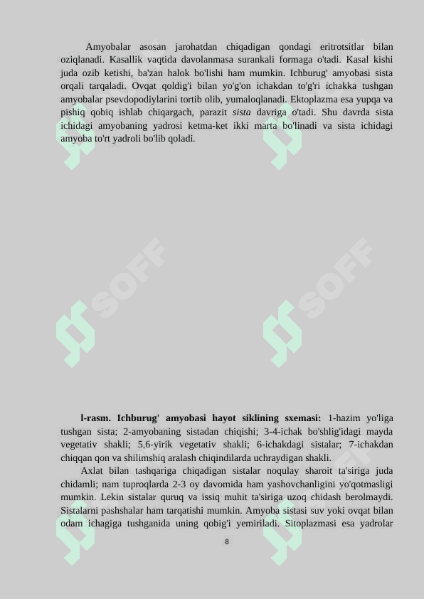 KASALLIK QO'ZG'ATUVCHI BIR HUJAYRALILAR  - KURS ISHI 8