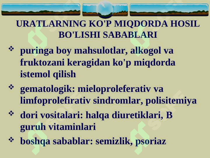 Podagra 6