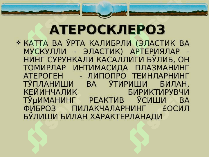Ateroskleroz 2
