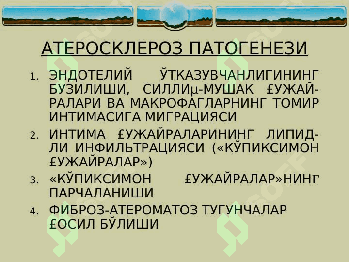 Ateroskleroz 5