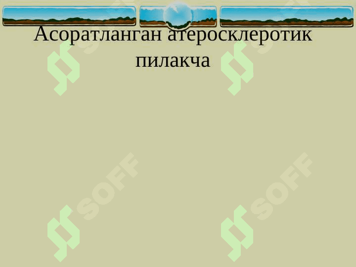 Ateroskleroz 8