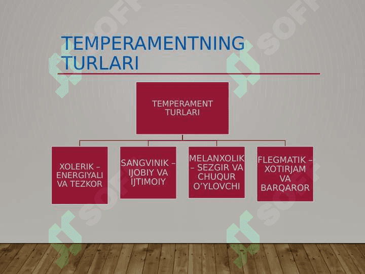 Temperament va uning turlari 4