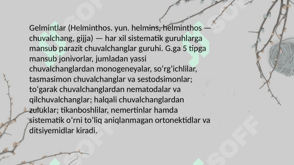 Gelminlar odam parazitlari 2