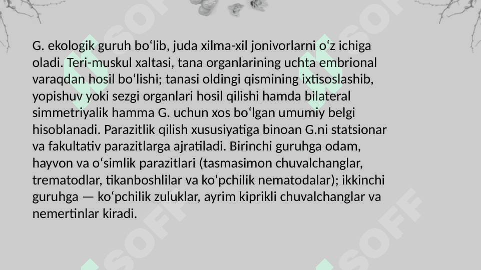 Gelminlar odam parazitlari 3