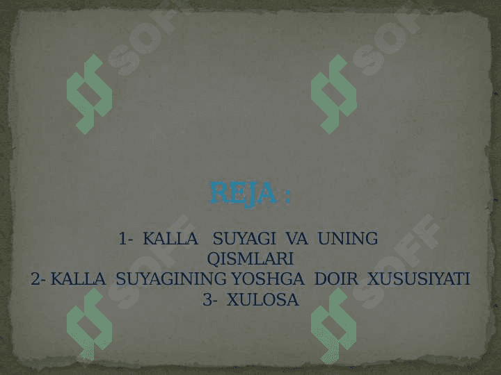 KALLA  SUYAKLARINING   RENTGENANATOMIYASI.KALLA  SUYAGINING  YOSHI  VA  JINSIY  TAFOVUTLARI 2