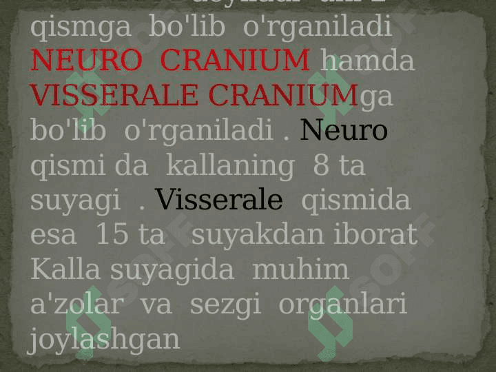 KALLA  SUYAKLARINING   RENTGENANATOMIYASI.KALLA  SUYAGINING  YOSHI  VA  JINSIY  TAFOVUTLARI 3