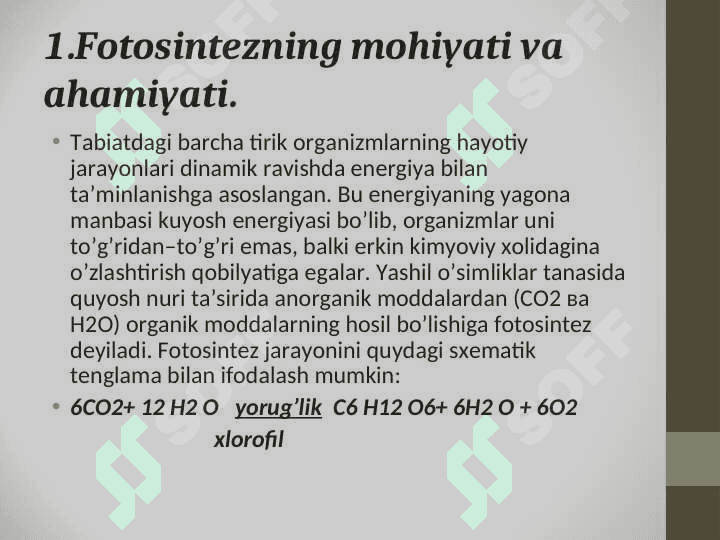 FOTOSINTEZ 2