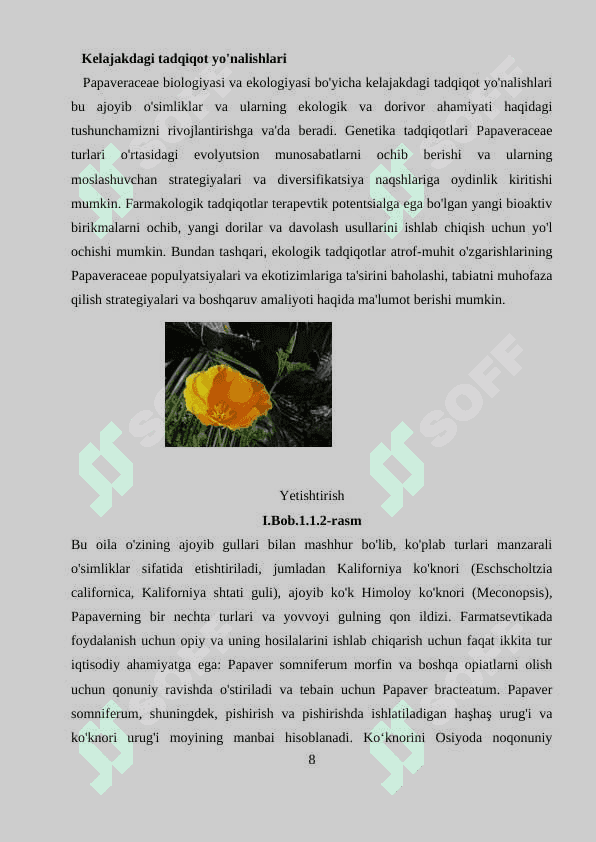 KO’KNORDOSHLAR OILASI 8