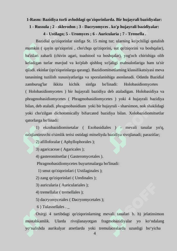 BAZIDIOMITSETLAR HAQIDA UMUMIY TASNIF 4
