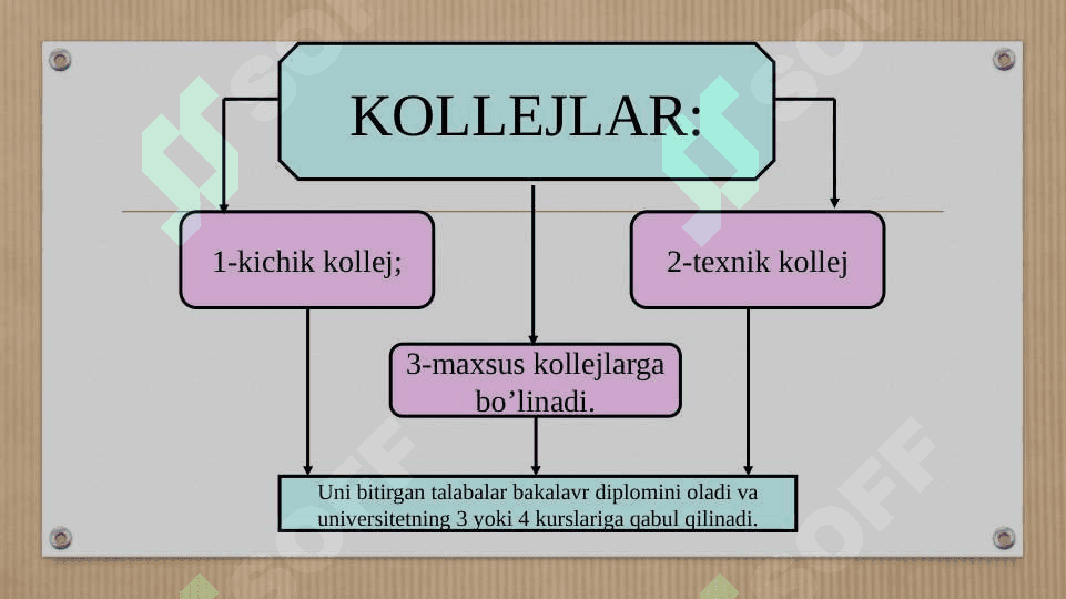 Rivojlangan xorijiy davlatlarda ta’lim tizimi 8