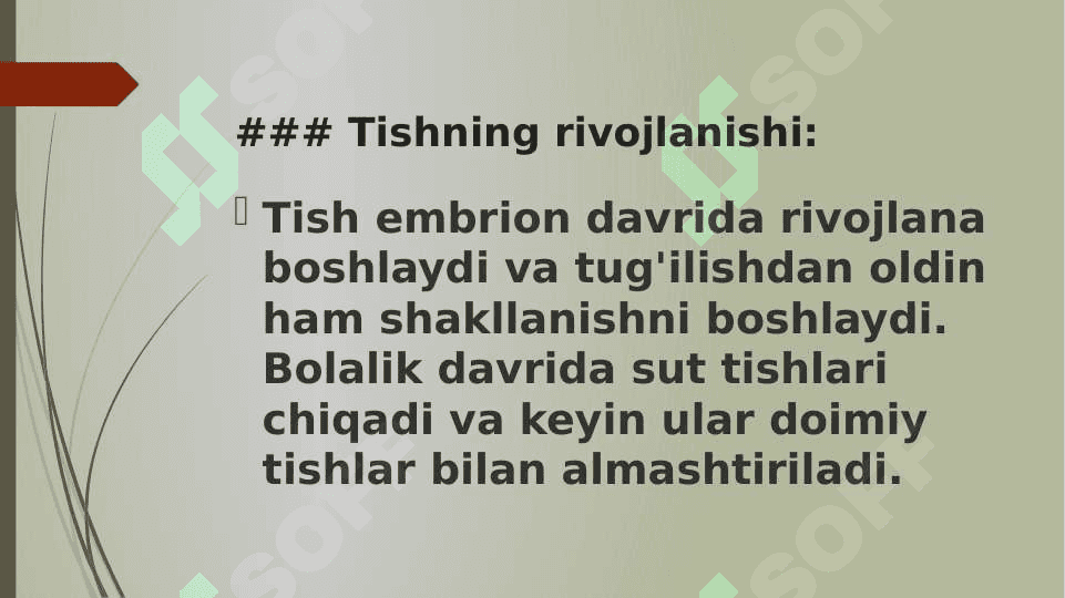 Tishlarning anatomiyasi 6