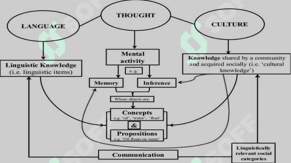 Interrelation of culture and language 4
