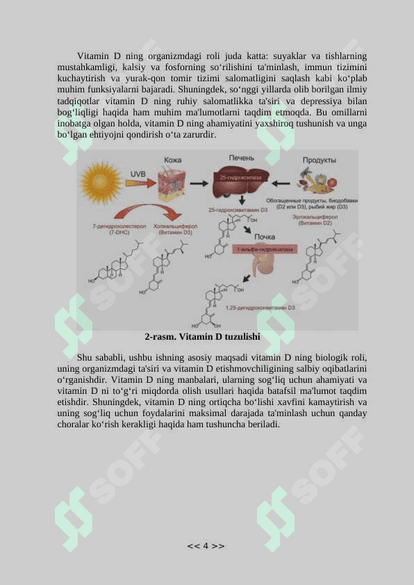 Vitaminlar ( D vitamini ) 4