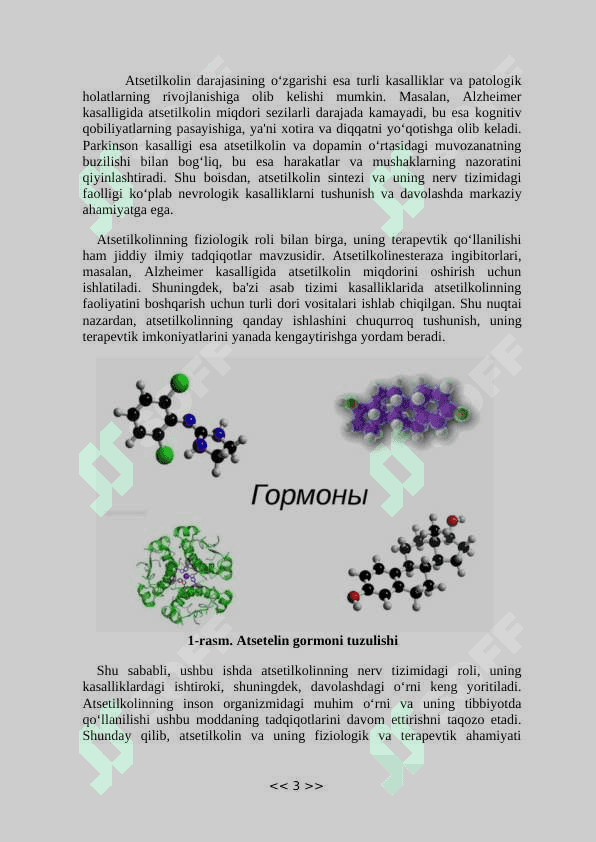 Gormonlar va ularning funksiyasi. Atsetilkolin 3
