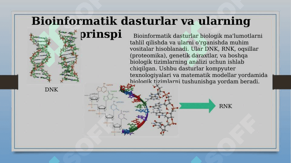 Bioinformatik dasturlar va ularning ishlash prinspi 6