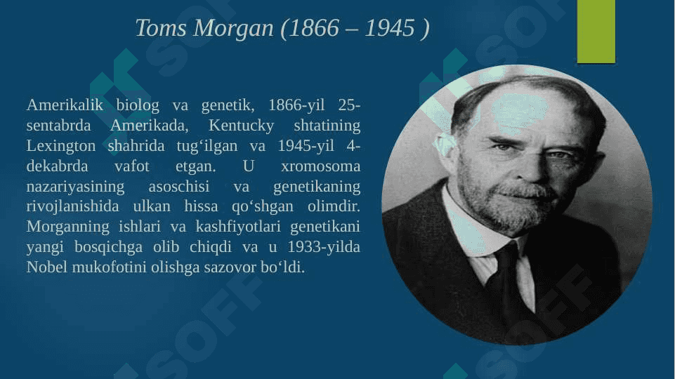 Toms Morganing xromosoma nazariyasi 6