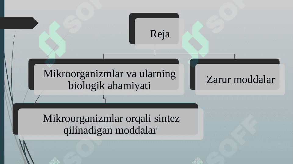 Mikroorganizmlardan zarur moddalar sintezlab olish 2