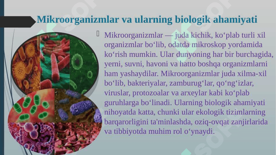 Mikroorganizmlardan zarur moddalar sintezlab olish 3
