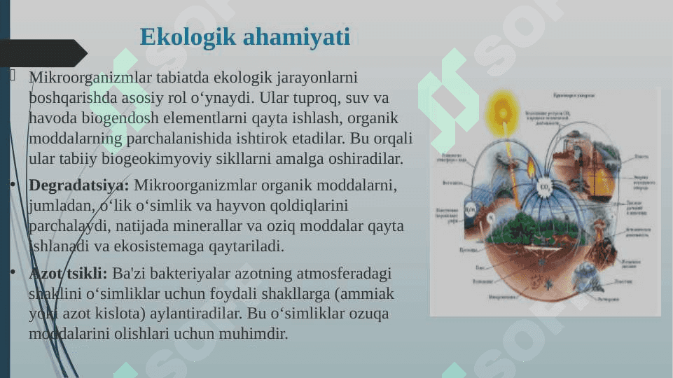 Mikroorganizmlardan zarur moddalar sintezlab olish 4