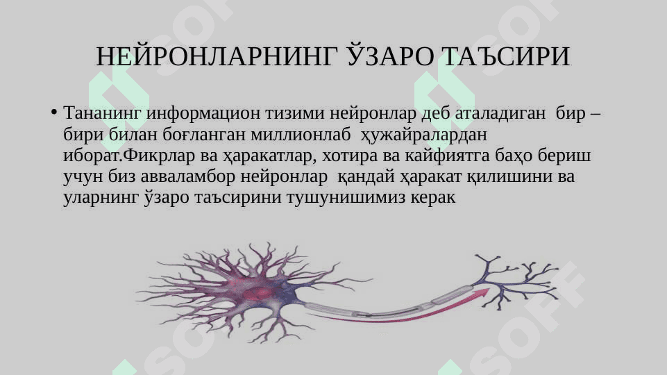 ПСИХИКА ВА ОНГНИНГ ТАРАҚҚИЁТИ 8