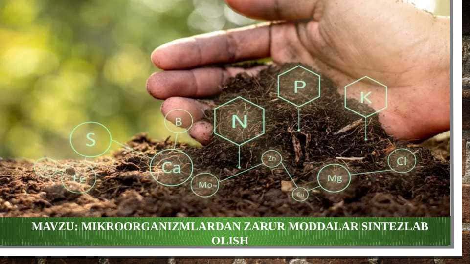 Mikroorganizmlardan zarur moddalar sintezlab olish