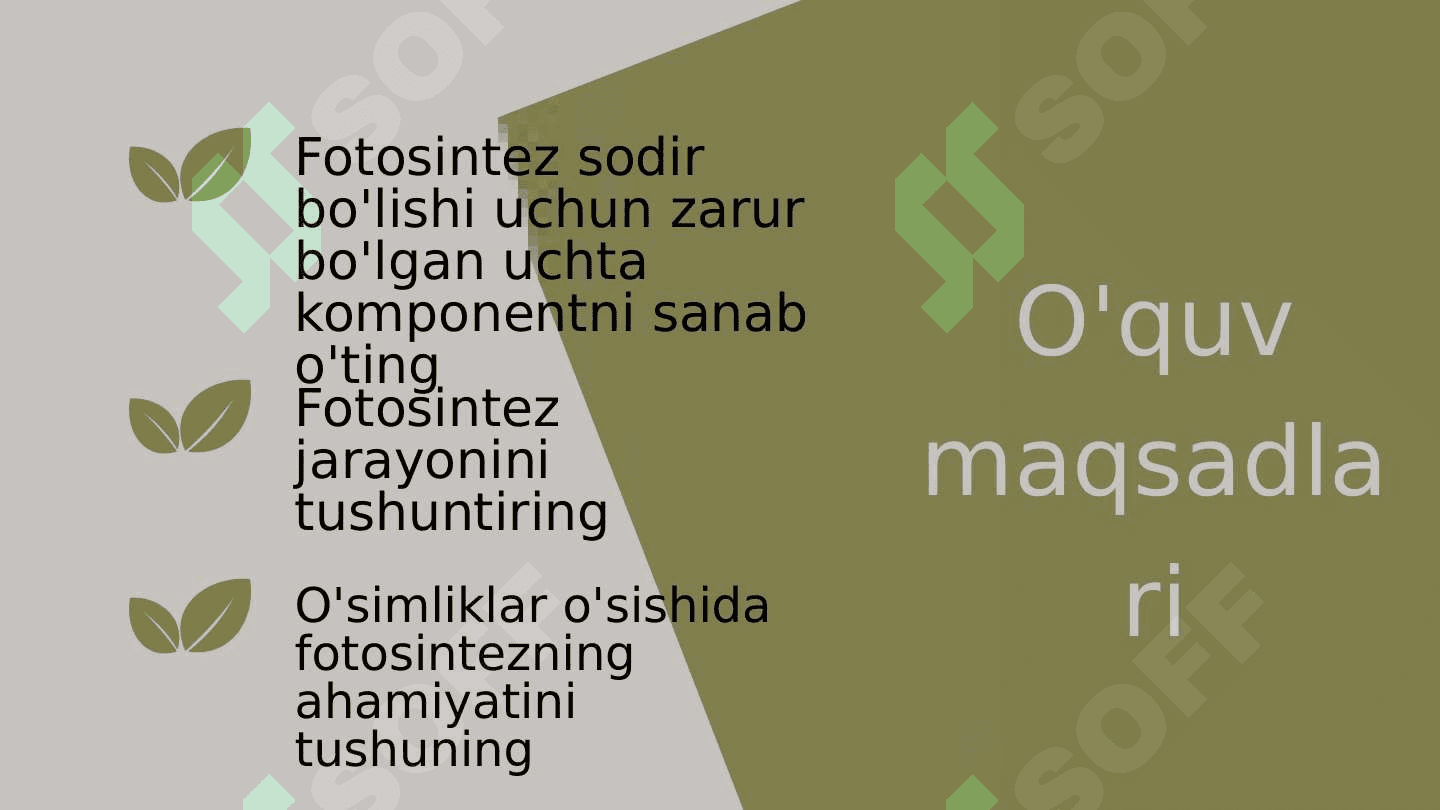 Fotosintez jarayoni 2