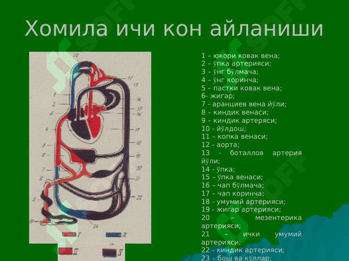 Yurakda shovqin sindromi: tug'ma va ortirilgan yurak nuqsonlari 2