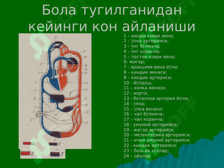 Yurakda shovqin sindromi: tug'ma va ortirilgan yurak nuqsonlari 3