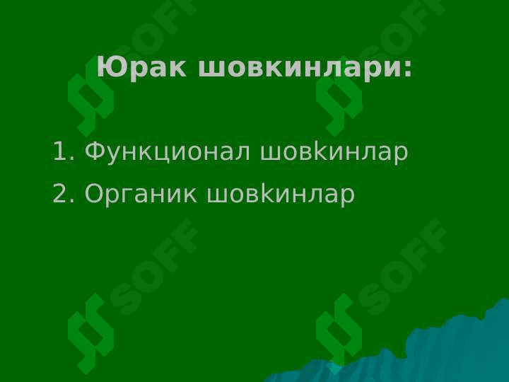 Yurakda shovqin sindromi: tug'ma va ortirilgan yurak nuqsonlari 4