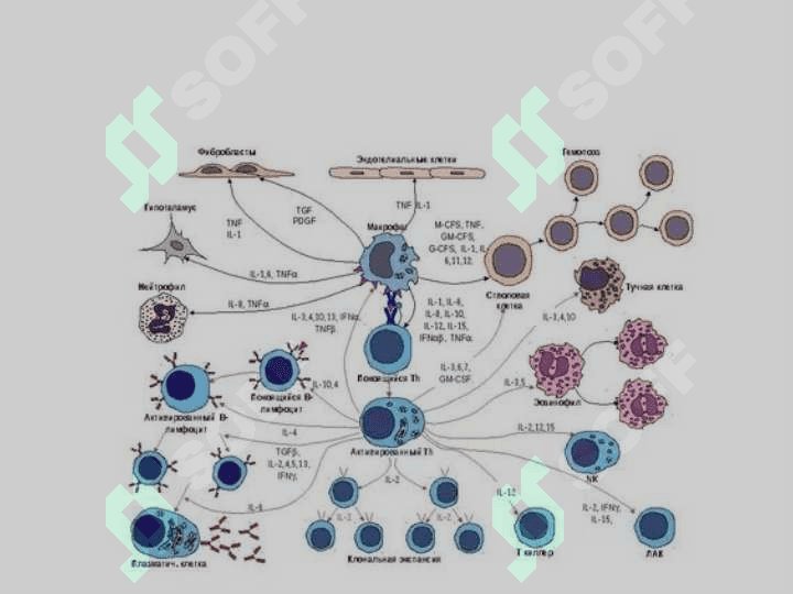 Mikrobiologiya virusologiya immunologiya faniga hissa qo'shgan o'zbek olimlari 3