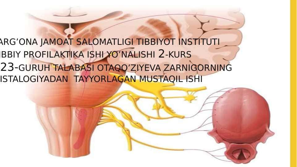 TAM BILISH AZOSI