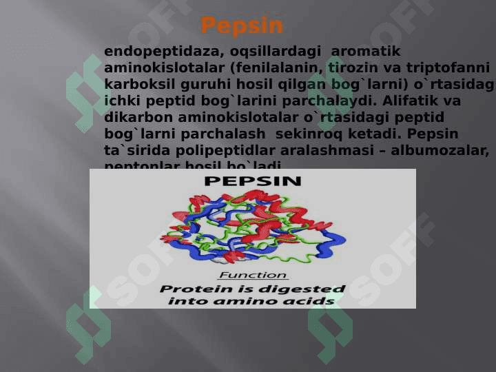 Aminokislotalar, nukleotidlar va ularning metabolizmi bilan bog`liq molekulalar 4