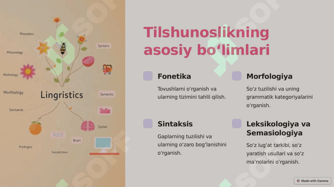 Tilshunoslik va uning boʻlimlari 3