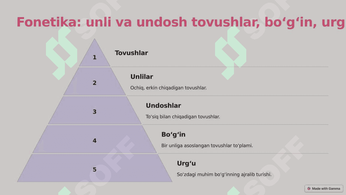Tilshunoslik va uning boʻlimlari 4