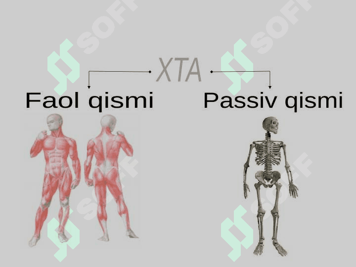 Xarakat-tayanch a’zolarida nuqsoni bo‘lgan bolalar 3