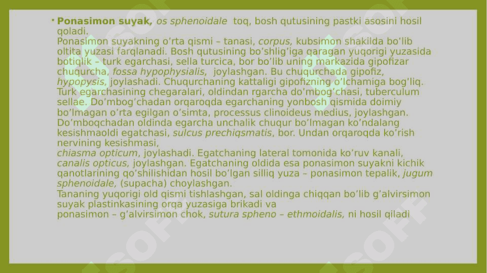 PONASIMON SUYAK,TUZILISHI,YOSHGA DOIR O’ZGARISHLARI 2