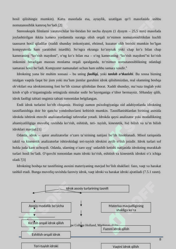Idrok 8