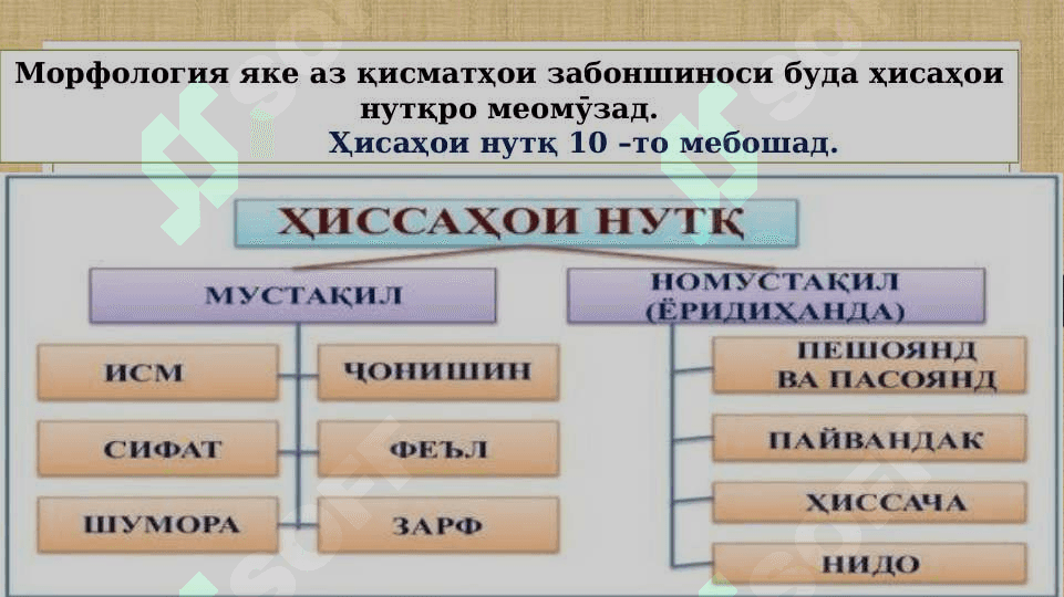 ҲИССАҲОИ НУТҚ 2