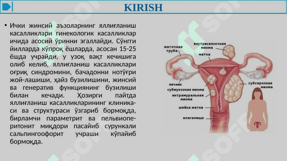 АЁЛЛАР ЖИНСИИ АЪЗОЛАРИНИНГ НОСПЕЦИФИК ЯЛЛИҒЛАНИШ КАСАЛЛИКЛАРИ 3