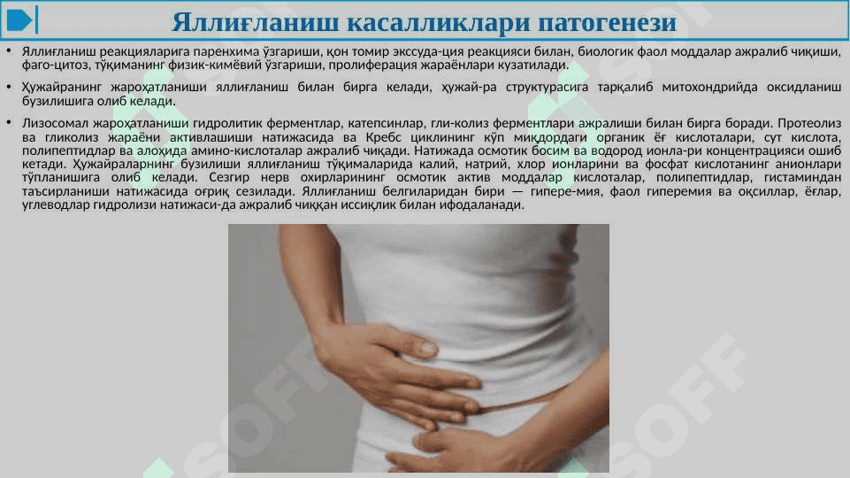 АЁЛЛАР ЖИНСИИ АЪЗОЛАРИНИНГ НОСПЕЦИФИК ЯЛЛИҒЛАНИШ КАСАЛЛИКЛАРИ 4