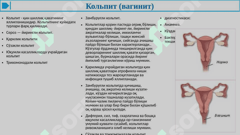 АЁЛЛАР ЖИНСИИ АЪЗОЛАРИНИНГ НОСПЕЦИФИК ЯЛЛИҒЛАНИШ КАСАЛЛИКЛАРИ 7