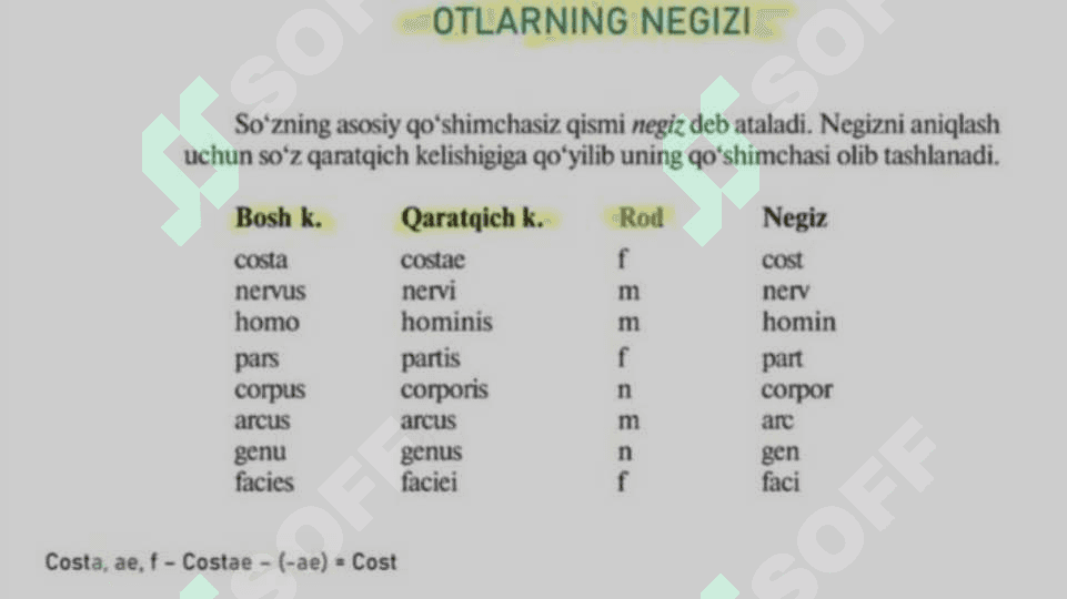 Ot soʻz turkumi. Lotin tili 3