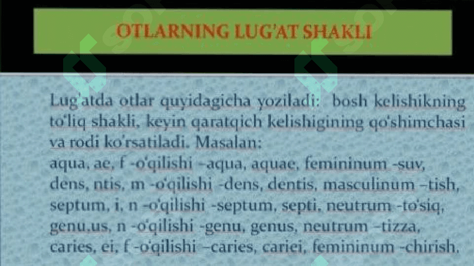 Ot soʻz turkumi. Lotin tili 6