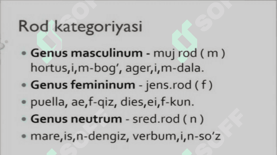 Ot soʻz turkumi. Lotin tili 8