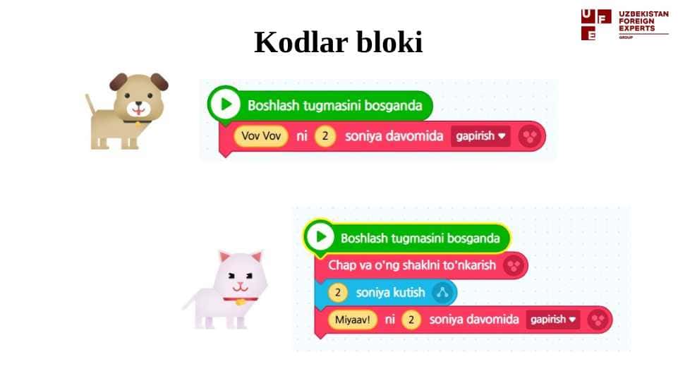 ENTRY interfeysi bilan tanishuv Qiziqarli CODING.pptx 1