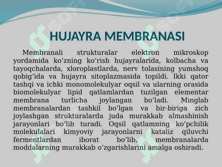 HUJAYRA MEMBRANASI VA UNING TUZILISHI. 2