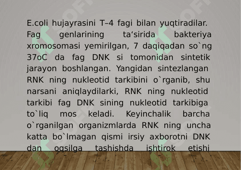 4-Mavzu: Transkripsiya, translyasiya va oqsil sintezi. 7