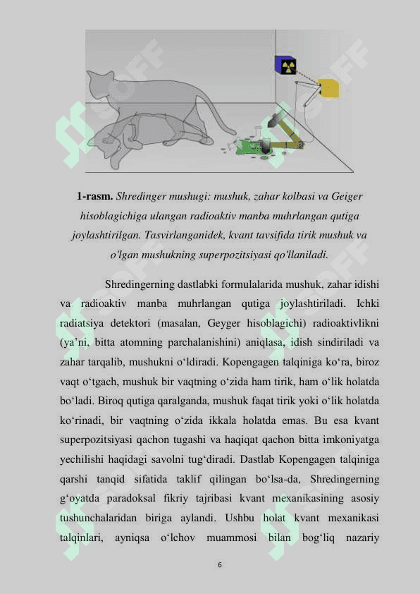 Shredinger mushugi 3 6